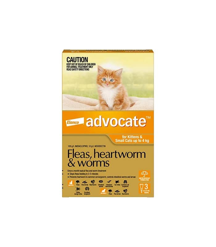 Advocate Orange For Small Cat