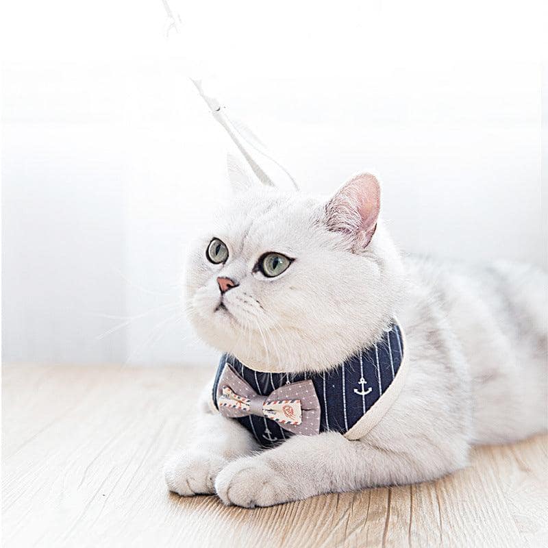 Breathable Mesh Pet Leash For Dogs And Cats - Image 2