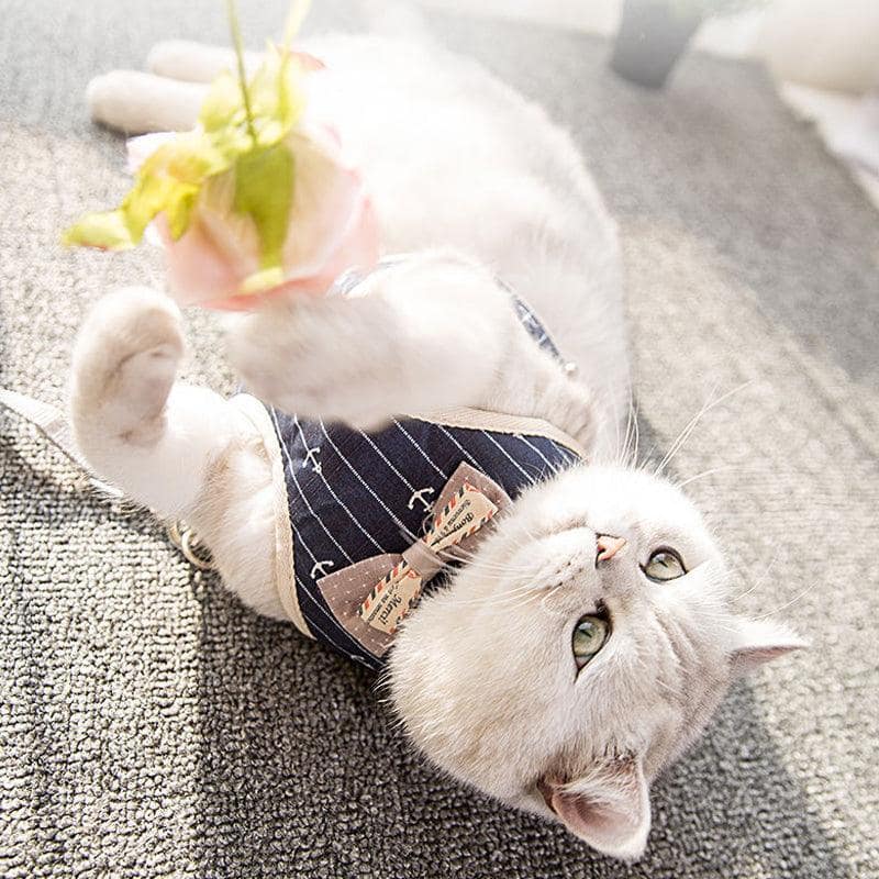 Breathable Mesh Pet Leash For Dogs And Cats - Image 4